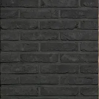 Cărămida Agora Grafietzwart