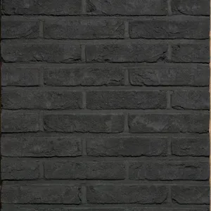 Caramida aparenta Agora Grafietzwart