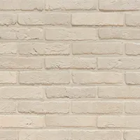 Cărămida Agora Nevel Wit