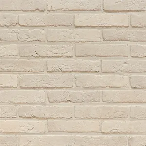 Caramida aparenta Agora Nevel Wit