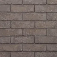 Cărămida Agora Titaangrijs