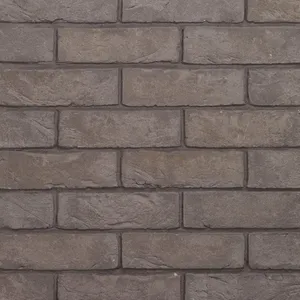 Caramida aparenta Agora Titaangrijs