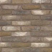 Cărămida Arces Moon Grijs