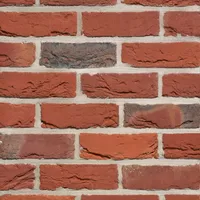 Cărămida Artiza Maaseiker Bont