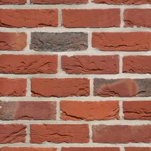 Caramida aparenta Artiza Maaseiker Bont