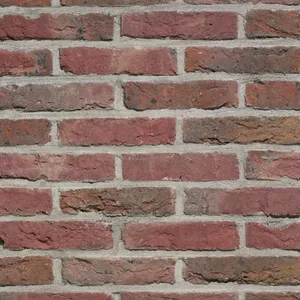 Caramida aparenta Artiza Paarsblauw