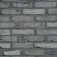 Cărămida Artiza Veldbrand Gesmoord