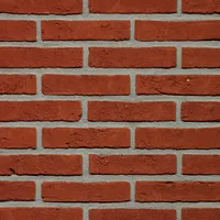 Cărămida Basia Spaans Rood