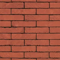 Cărămida Basia Spaans Rood