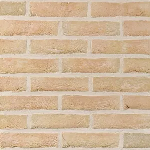 Caramida aparenta Basia Strobloem