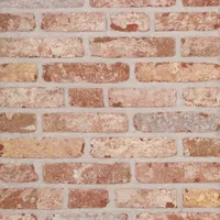 Cărămida Belle Epoque De Mons