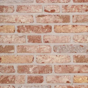 Caramida aparenta Belle Epoque De Mons