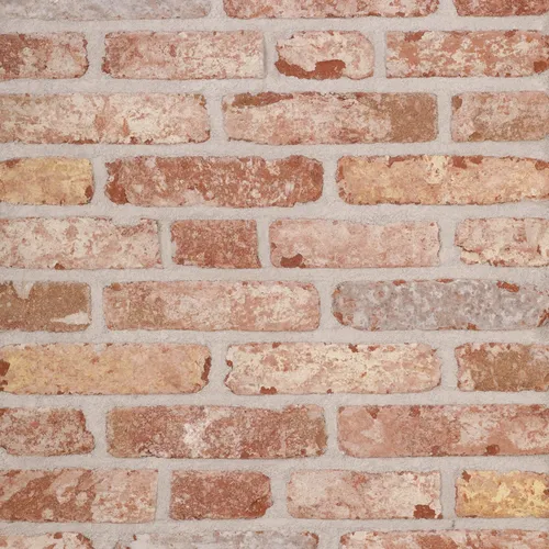 Cărămida Belle Epoque De Mons