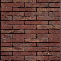 Cărămida Classo Blauw Rood Genuanceerd Gesinterd