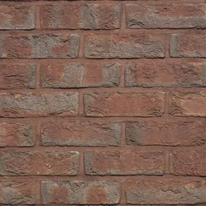 Caramida aparenta Classo Blauw Rood Genuanceerd