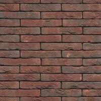 Cărămida Classo Blauw Rood Genuanceerd