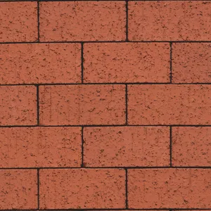 Caramida aparenta Colorline Wanlin Rood