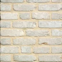 Cărămida Domus Casa Lena