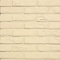 Cărămida Forum Branco