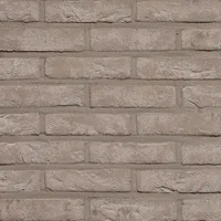 Cărămida Forum Cromo