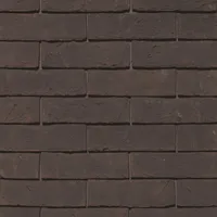 Cărămida Forum Ombra