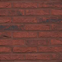 Cărămida Forum Pampas