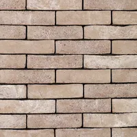 Cărămida Forum Prata Genuanceerd