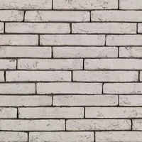 Cărămida Imperium Flavius