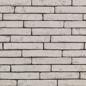 Caramida aparenta Imperium Flavius