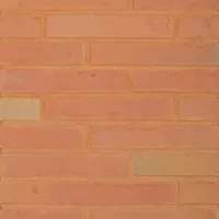 Cărămida Linnaeus Betula