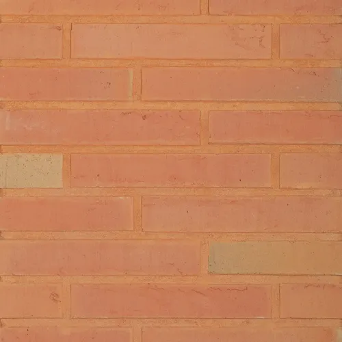 Cărămida Linnaeus Betula