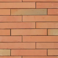 Cărămida Linnaeus Betula