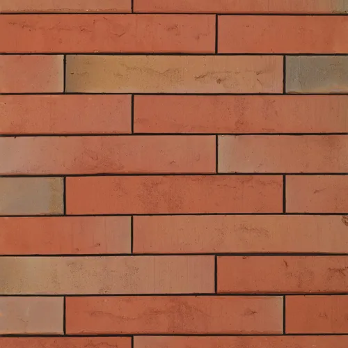 Cărămida Linnaeus Robinia