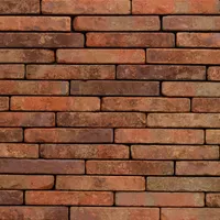 Cărămida Metropolis Aula Rood