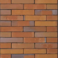 Cărămida Milosa Goudsbloem