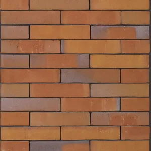 Caramida aparenta Milosa Goudsbloem