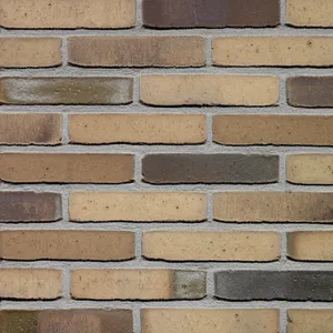 Caramida aparenta Milosa Hoornbloem