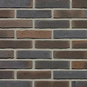 Caramida aparenta Milosa Kogelbloem