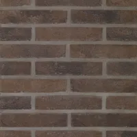 Cărămida Pagus Bruin Zwart