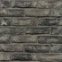 Cărămida Pagus Grijs Zwart