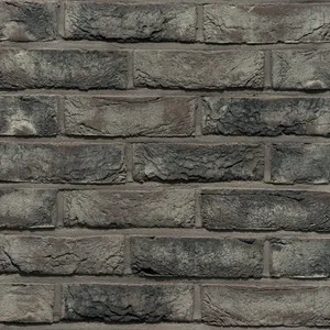 Caramida aparenta Pagus Grijs Zwart