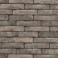 Cărămida Pagus Grijs Zwart