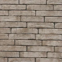 Cărămida Pagus Grijs