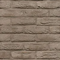 Cărămida Pagus Grijs