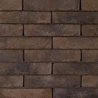 Cărămida Pagus Iluzo Bruin Zwart