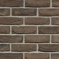 Cărămida Pagus Iluzo Bruin Zwart