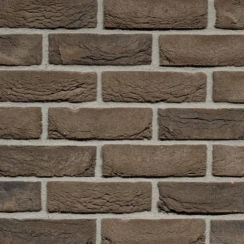 Cărămida Pagus Iluzo Bruin Zwart