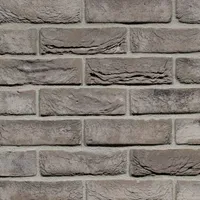 Cărămida Pagus Iluzo Grijs Zwart