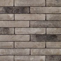 Cărămida Pagus Iluzo Grijs Zwart