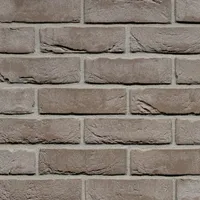 Cărămida Pagus Iluzo Grijs